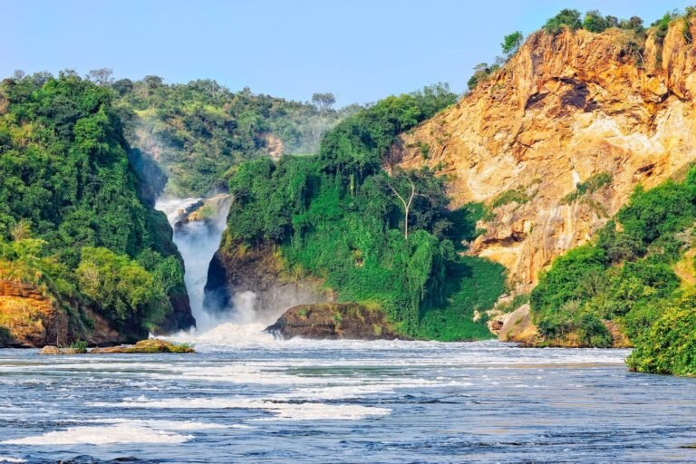 Best time to Visit Murchison Falls National Park