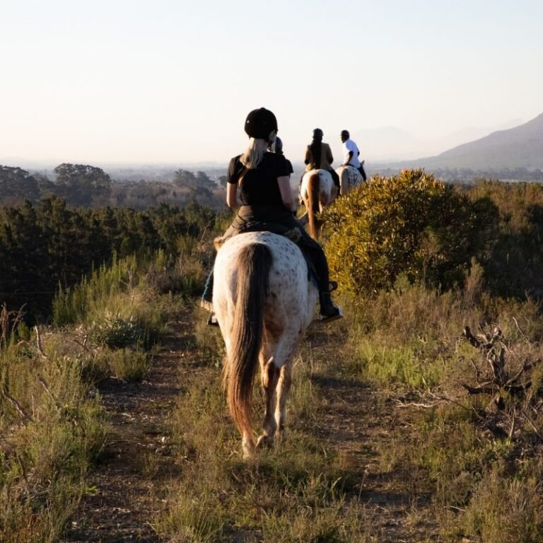 Horse Riding in Uganda – Jinja Tours