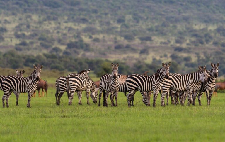 Nature sites in Uganda/ historical sites/ Cultural sites/ list of cultural sites