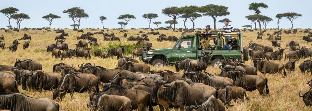 Kenya Safaris Wildlife viewing on Kenya Safari