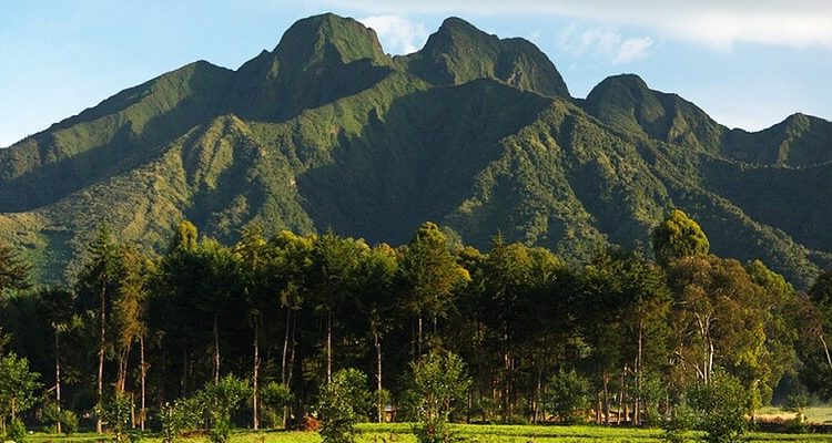 volcanoes 