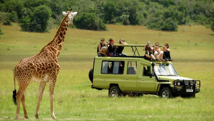 What is the best time to visit Uganda With a 4x4 Car Rental?