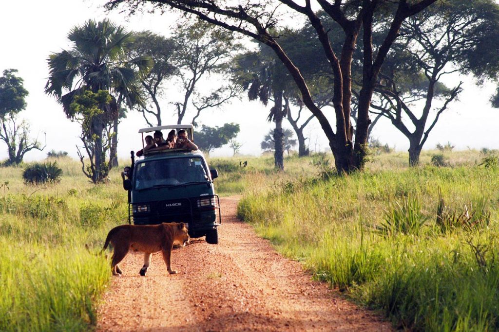 murchison falls park game drive
