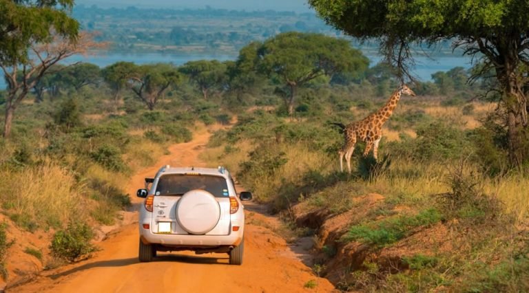 How Much Does a Uganda Safari Cost?