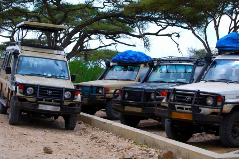 Car Hire for Gorilla Trekking