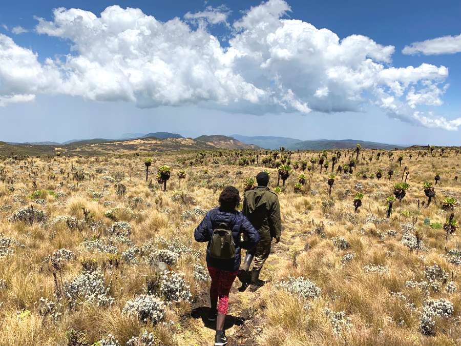 mount elogn hike 