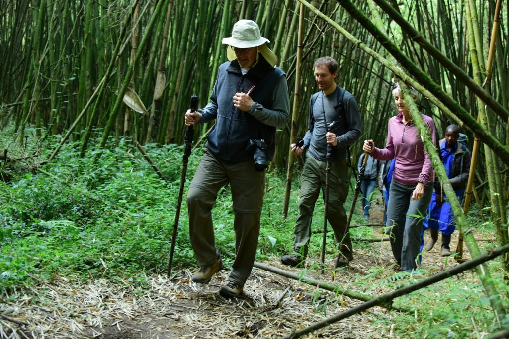 nature walks in Kisoro district 