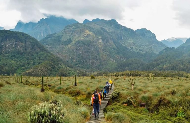 Mountain Hiking in Uganda
