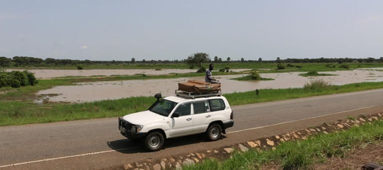One-Way Car Rental in Uganda : The Ultimate Guide for 2024/2025 Road Trips