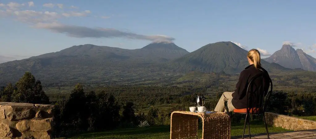 Reasons to Consider Gorilla Trekking in Rwanda