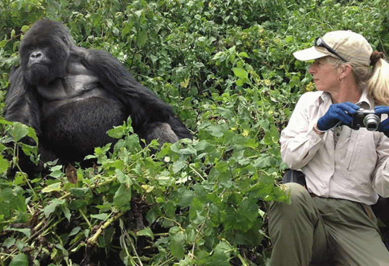 A Guide to Gorilla Trekking for the Elderly and People with Disabilities