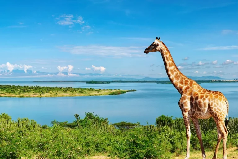5 Unique Places in Uganda to Visit In 2025