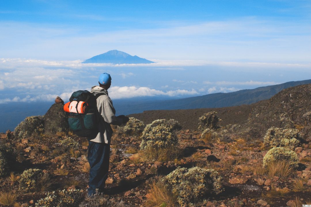 Mountain Hiking Safaris