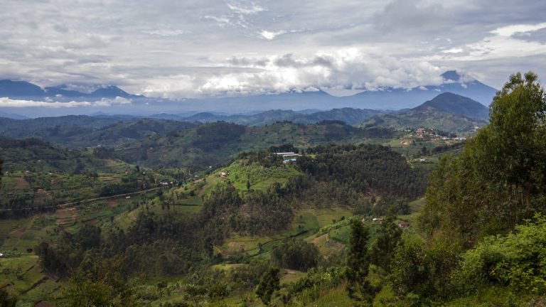 The Mountain Karisimbi