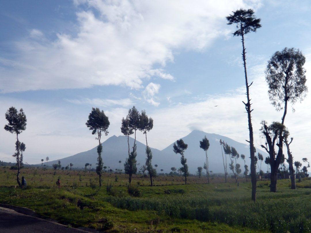 What makes Virunga ranges commonly virunga volcanoes