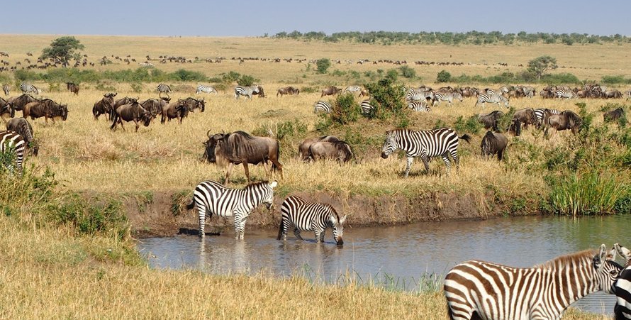 Maasai Mara National Reserve