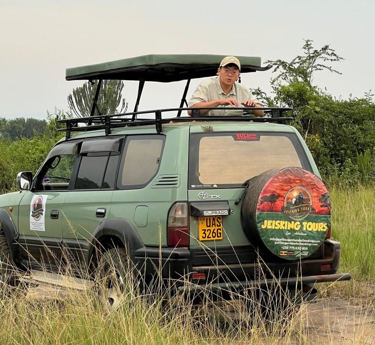 Land cruiser Prado hire in Uganda for tourism
