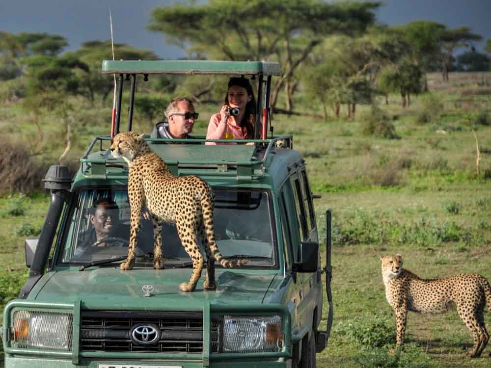 luxury trip to uganda and east africa.budget vs luxury trips