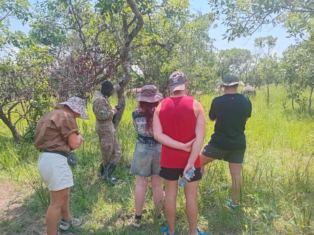 walking on foot through Ziwa Rhino Sanctuary,