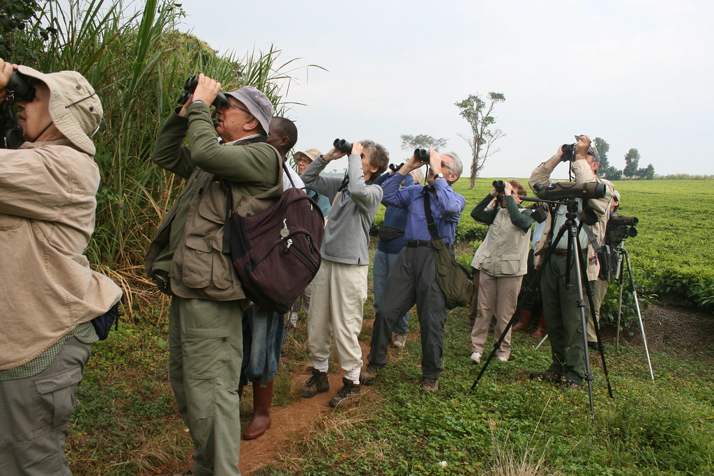 taking photos during gorilla trekking