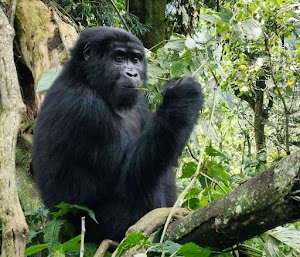 Jeisking Tours Ltd place picture