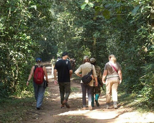 Another important part of a cultural tour in Bwindi is the village walk